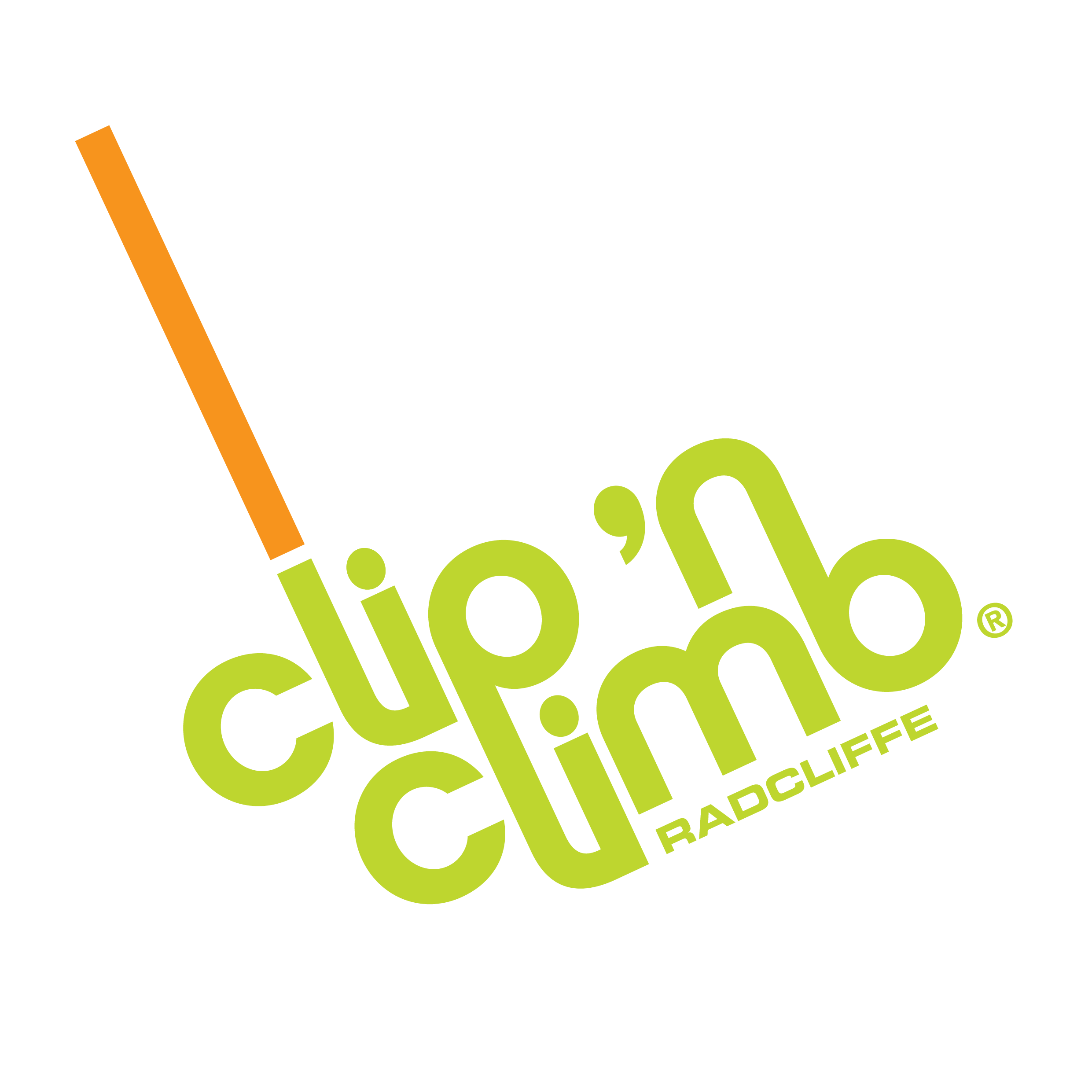 Clip N Climb Logo